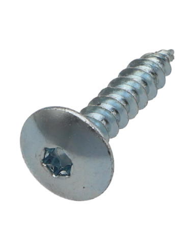 1 x Screw Truss 6X20 Full Thread T30 Zinc Plated