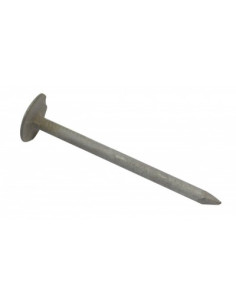 Kg of nails SLATE Extra Large Head 3X40 Head Diameter: 12...