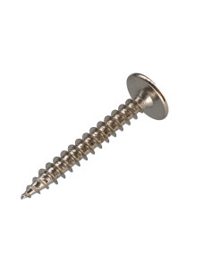 Screw Truss 6X60 Partial Thread T30 Nickel Plated 2