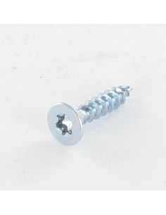 Chipboard Screw Countersunk Head T10 3X12 Zinc Plated...