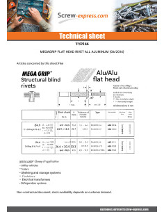 RIVET MEGAGRIP ENTIRELY ALUMINIUM 6.6X14.1 FLAT HEAD 2