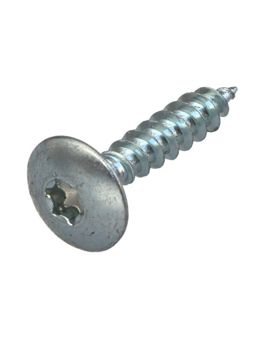 1 x Screw Truss 6X40 Partial Thread T30 Zinc...