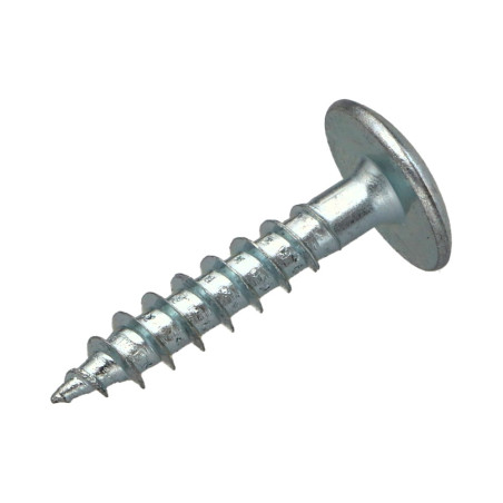 1 x Screw Truss 6X40 Partial Thread T30 Zinc Plated