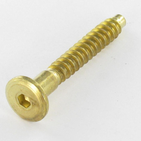 1 x Self Drilling Screw Confirmat Large Round Head Hexagon Recess 7X70 Brass Plated Steel