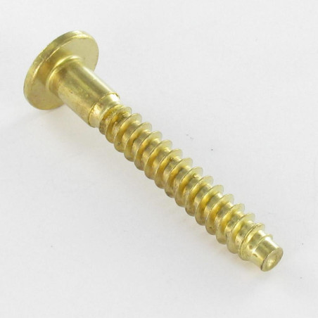 1 x Self Drilling Screw Confirmat Large Round Head Hexagon Recess 7X70 Brass Plated Steel