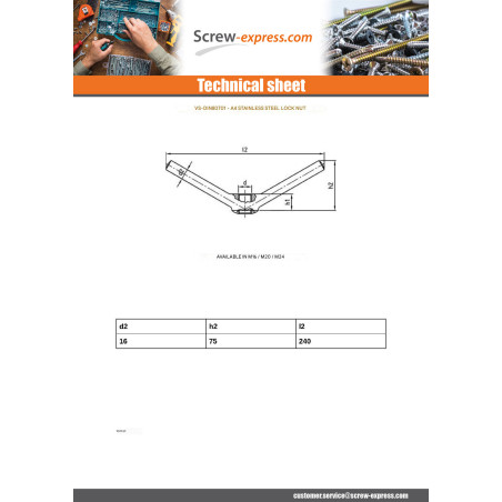 1 x Wing nut M20 Stainless Steel A4