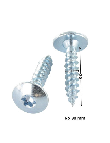1 x Screw Truss 6X30 Partial Thread T30 Zinc...