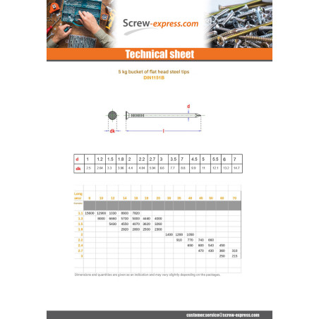 1 x Kg of nails Steel Flat Head 2.5X45