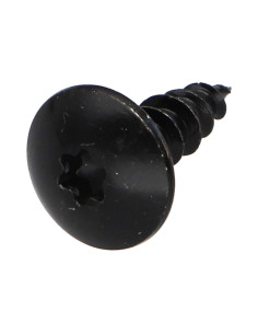 Screw Truss 5.5X16 Full Thread T30 Black Zinc Plated