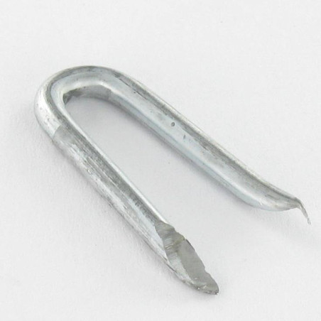 1 x Kilogram Staple Zinc Plated 3X30