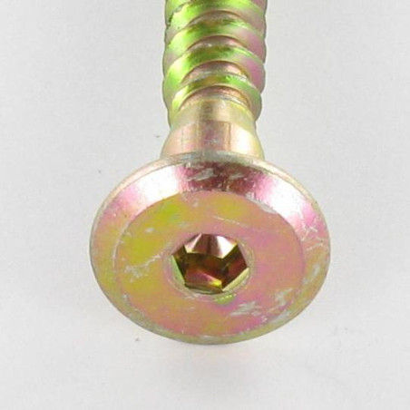 1 x Self Drilling Screw Confirmat Large Round Head Hexagon Recess 7X40 Yellow Zinc