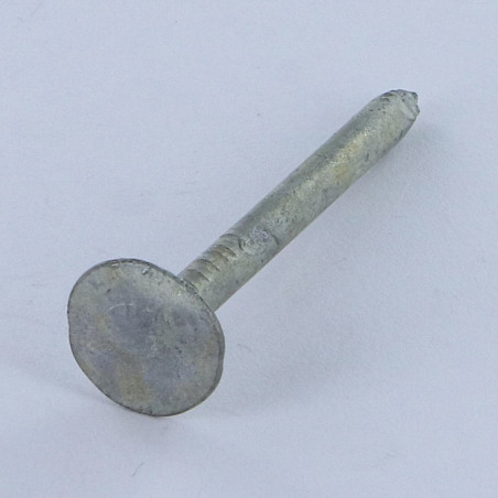 1 x Kg of nails SLATE Extra Large Head 3X40 Head Diameter: 12 Hot Dip Galvanized