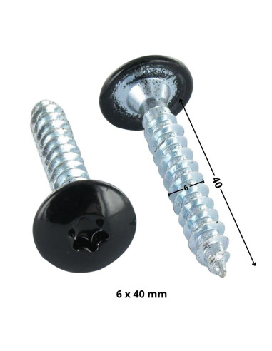 1 x Screw Truss 6X40 Partial Thread T30 Zinc...