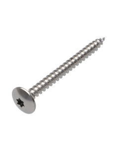 Screw Truss 4.5X50 Full Thread T20 Plain Chromed