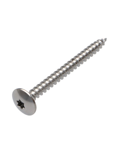 1 x Screw Truss 4.5X50 Full Thread T20 Plain...