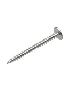Screw Truss 4.5X50 Full Thread T20 Plain Chromed 2