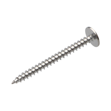 1 x Screw Truss 4.5X50 Full Thread T20 Plain Chromed