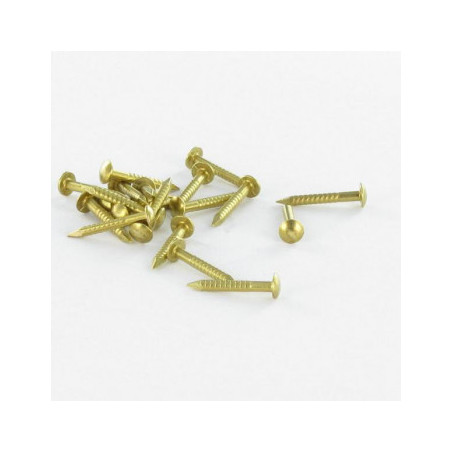 1 x Kg of nails BLUEIES Round Head 2X25