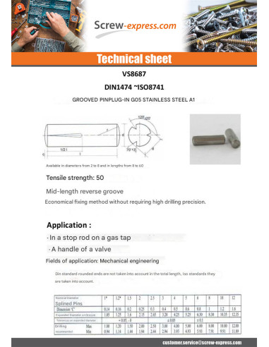 1 x Pin CANELEE 2.5X9 Stainless Steel