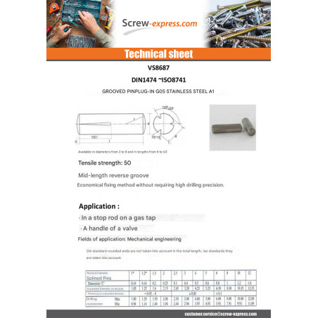 1 x Pin CANELEE 2.5X9 Stainless Steel