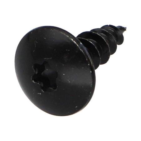 1 x Screw Truss 5X25 Full Thread T20 Black Zinc Plated