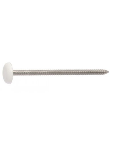 1 x Nail RINGED Head LAMINATED 2.1X30 Stainless...