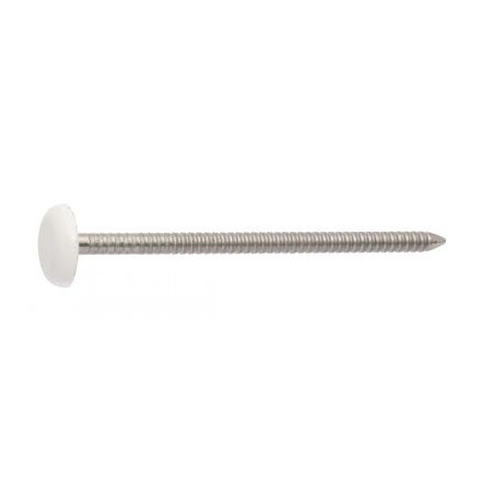 1 x Nail RINGED Head PLASTICIZED 2.1X30 Stainless Steel A4