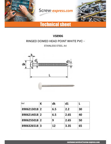 1 x Nail RINGED Head PLASTICIZED 2.1X30...