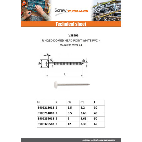 1 x Nail RINGED Head LAMINATED 2.1X30 Stainless Steel A4