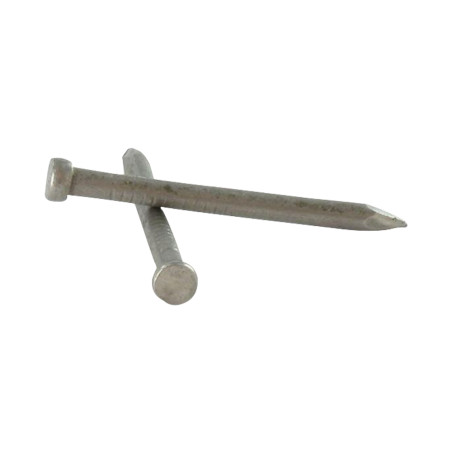 1 x Kg of nails Head Male Length 20 Diameter 2.0 Stainless Steel A2