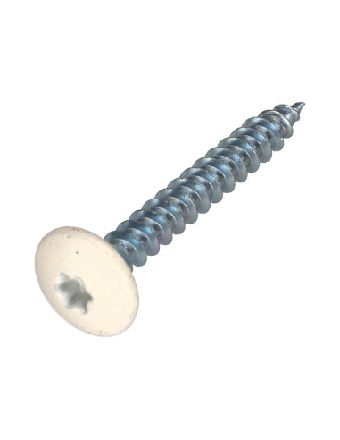 1 x Screw Truss 4.5X35 Full Thread T20 Zinc...