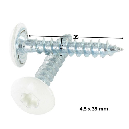 1 x Screw Truss 4.5X35 Full Thread T20 Zinc Plated Ral9010/Pure White