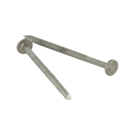 1 x Kg of nails Retaining Rings Flat Head Length 45 Diameter 2.2 Stainless Steel A2