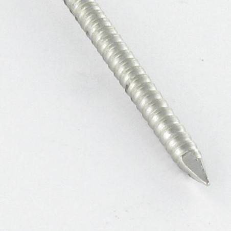 1 x Kg of nails Retaining Rings Flat Head Length 45 Diameter 2.2 Stainless Steel A2