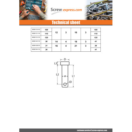1 x Pin Flat Head 11X30 With Hole 3 Stainless Steel A4