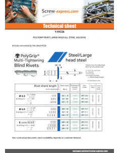 Rivet Entirely Steel Large Head 4.8X10 Multigrip 2