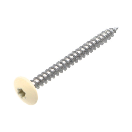 1 x Screw Truss 4.5X50 Full Thread T20 Zinc Plated LAQ Ral9010/Pure White