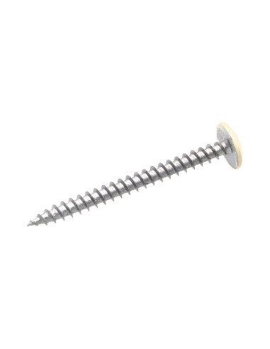 1 x Screw Truss 4.5X50 Full Thread T20 Zinc...