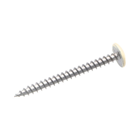 1 x Screw Truss 4.5X50 Full Thread T20 Zinc Plated LAQ Ral9010/Pure White