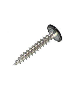 Screw Truss 4X30 Thread Length: 20 T20 Zinc Plated... 2