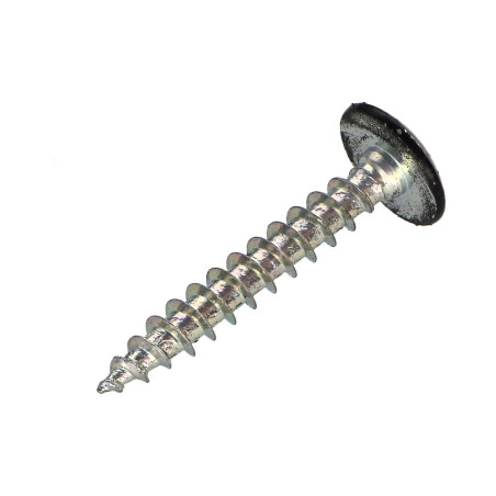 1 x Screw Truss 4X30 Thread Length: 20 T20 Zinc Plated Ral9005/Jet Black 30%B