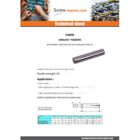 1 x Adjustment groove pin G02 Stainless Steel A1 4X20