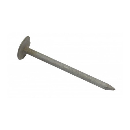 1 x Kg of nails SLATE Extra Large Head 3X50 Head Diameter: 12 COPPER