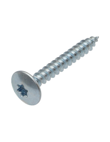 1 x Screw Truss 6X45 Partial Thread T30 Zinc...