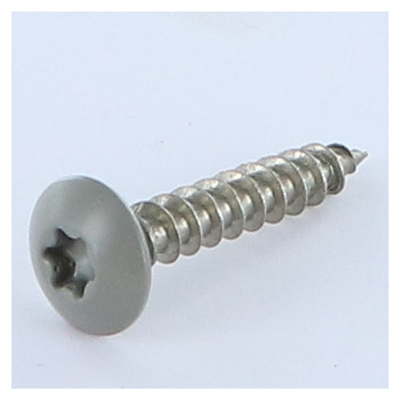 1 x Screw Truss 6X35 Thread Length: 30 T30 Stainless Steel A2 RAL7023