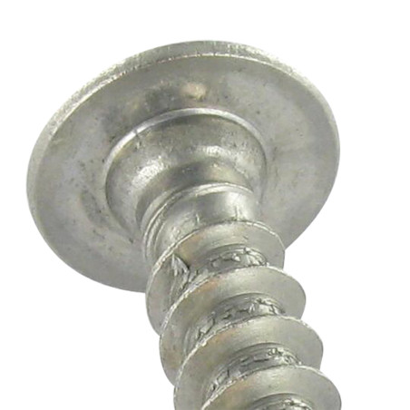 1 x Screw Truss 7X45 Full Thread T30 Stainless Steel A2