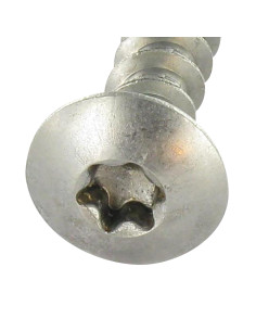 Screw Truss 6X20 Full Thread T30 Stainless Steel A2 2