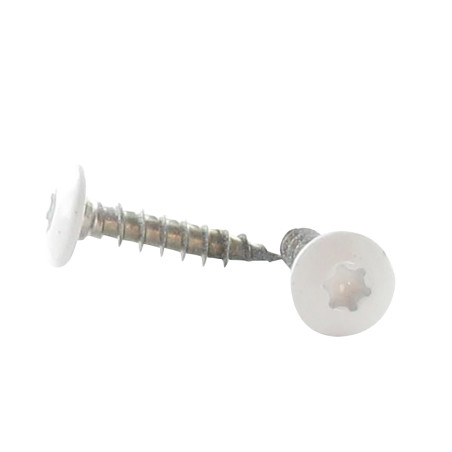 1 x Screw Truss 7X40 Thread Length: 38 T30 Stainless Steel A2 Ral9010/Pure White 80% BRILLI