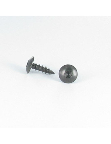 1 x Screw Truss 6X40 Thread Length: 38 T30...