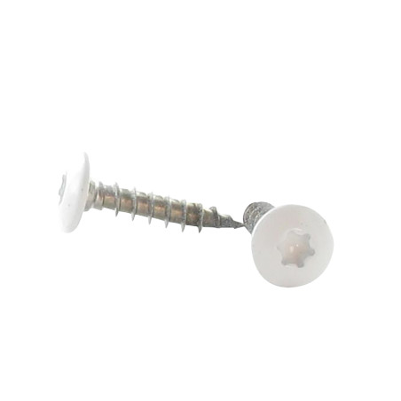 1 x Screw Truss 7X50 Thread Length: 38 T30 Stainless Steel A2 Ral9016/Traffic Signalisation 80% BRILLIANT